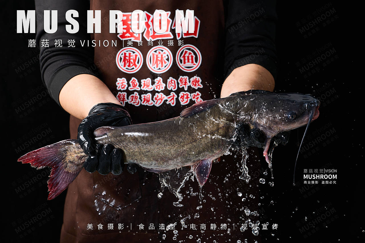 美食摄影 | 麻椒鱼（图ZMzgyNTI5MjI0） - 美食摄影 - 站酷设计师蘑菇视觉MUSHROOM原创素材 - 站酷ZCOOL
