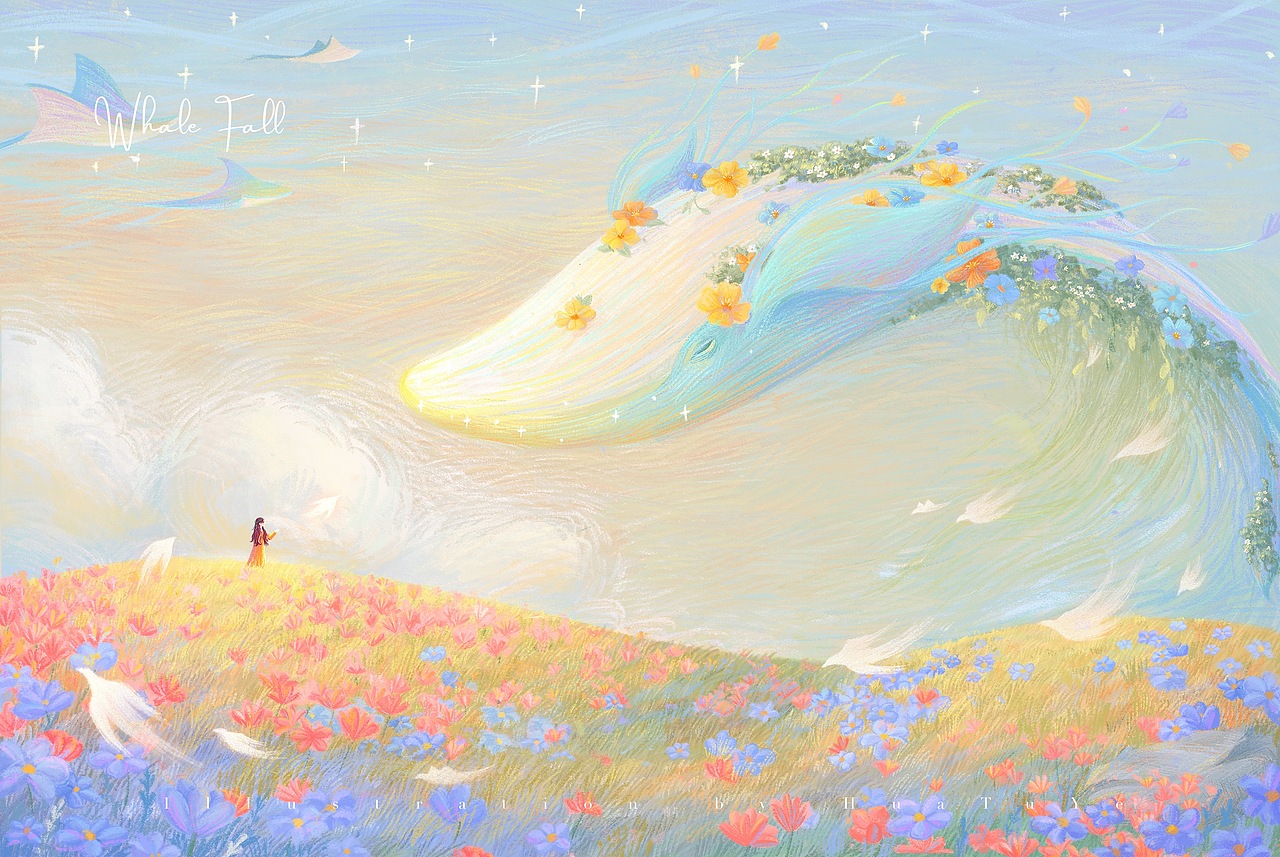 《2024插画合集》