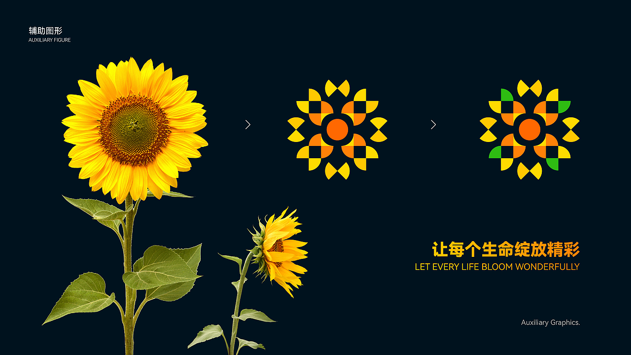 东阳市吴宁第五小学品牌视觉升级|品牌设计|教育服务