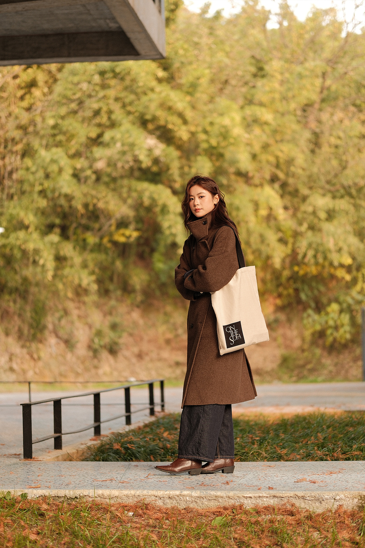 你当像鸟飞往你的山