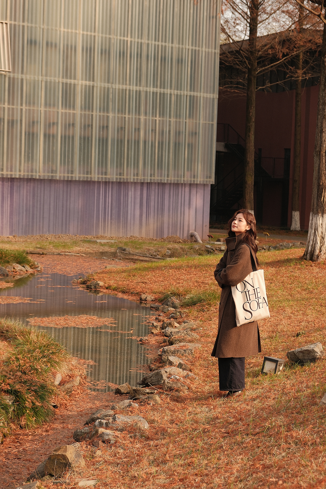 你当像鸟飞往你的山