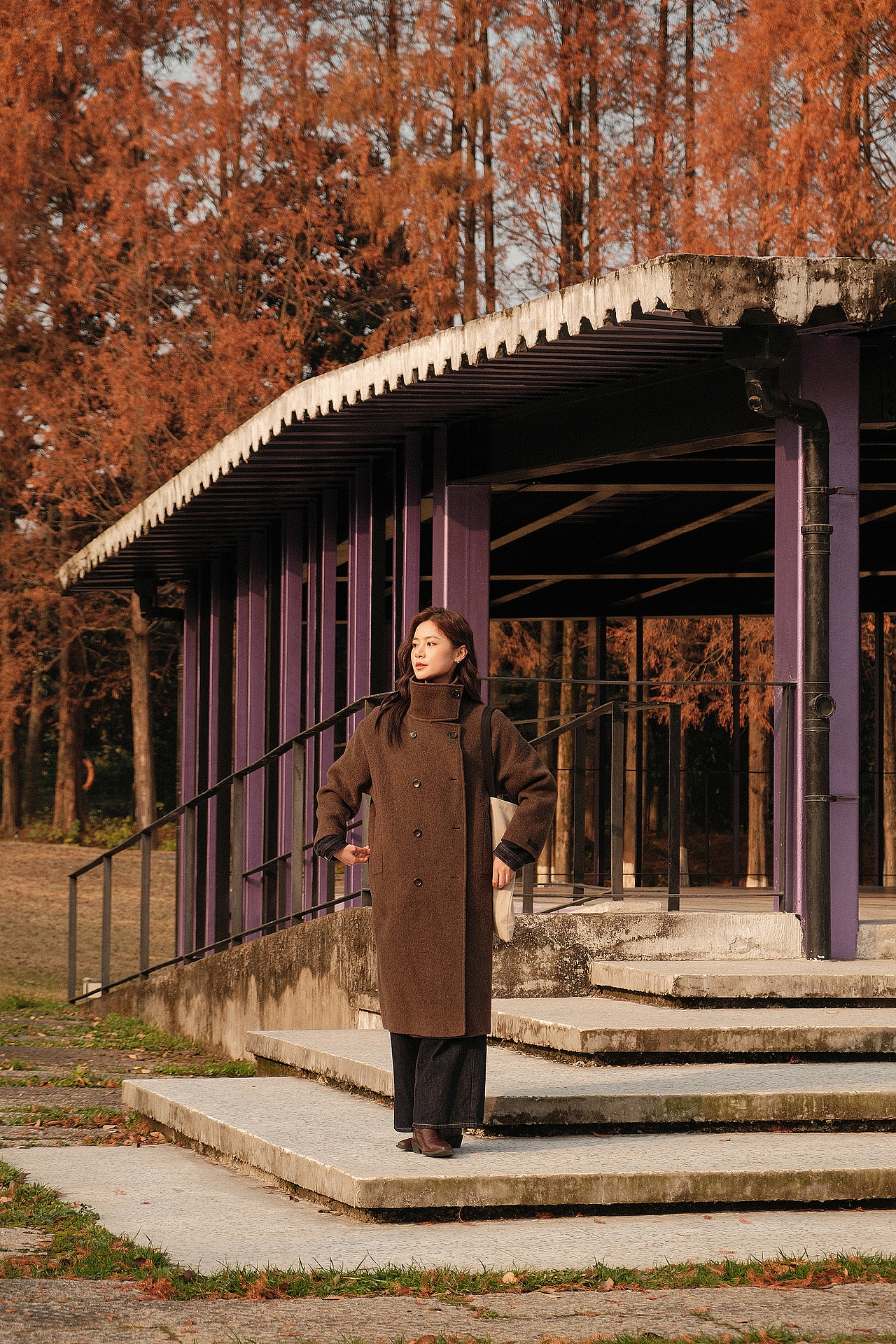 你当像鸟飞往你的山