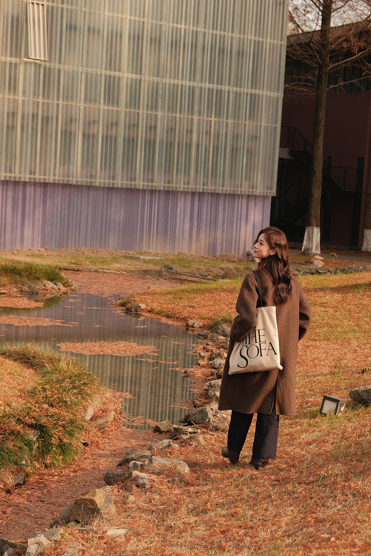 你当像鸟飞往你的山