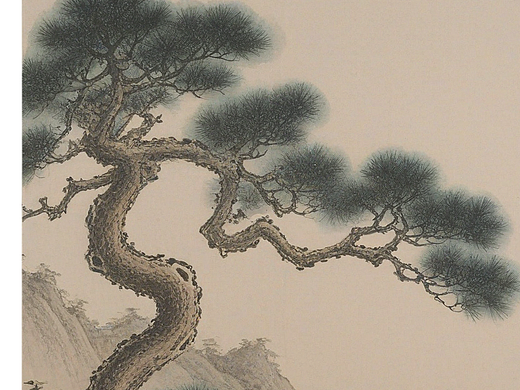 松树3-青松不折