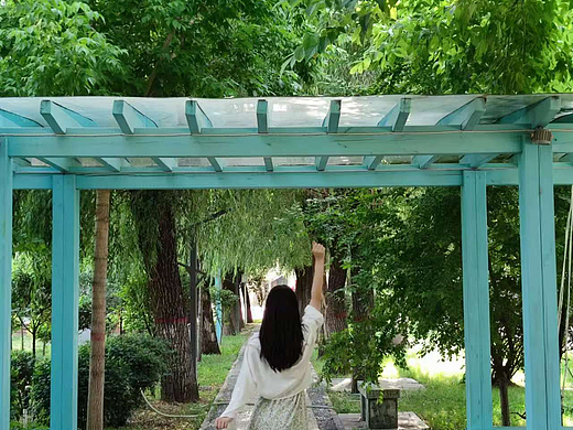 夏天回忆