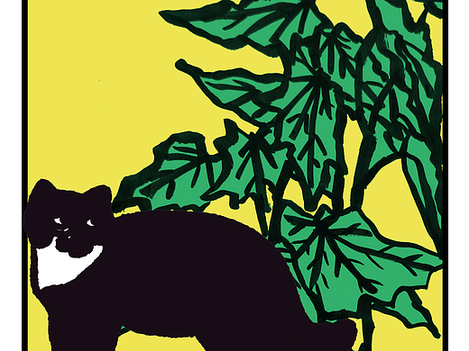 貓與熱植（個人主頁-ZNzEwNDI1MTY=） - 商業(yè)插畫 - 站酷設計師貓柚子原創(chuàng)素材 - 站酷ZCOOL