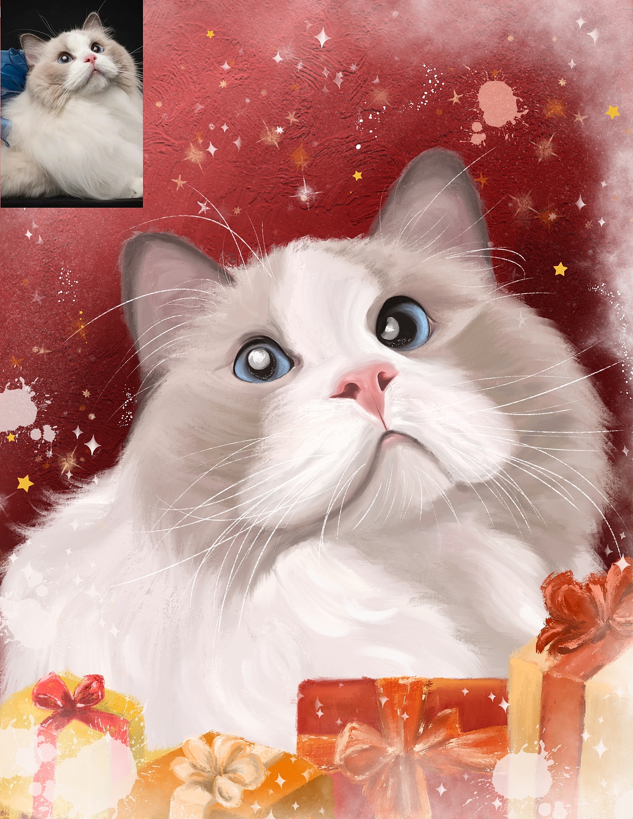 可爱的小布偶猫猫🐱过圣诞节🎄