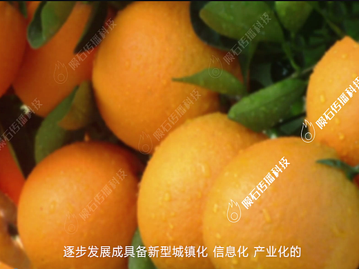 高品质农产品引领健康风尚的三维动画