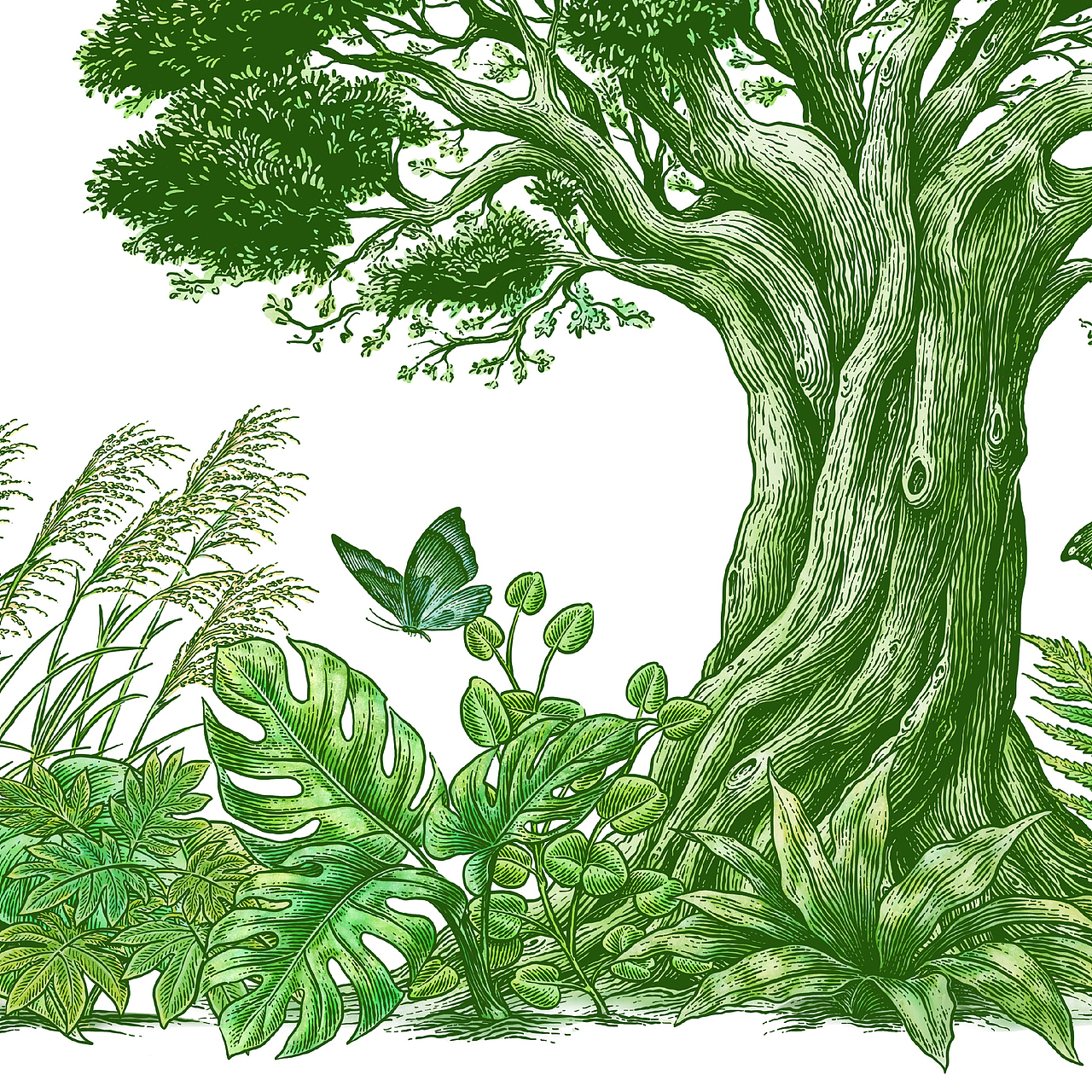 The Tree 品牌插画（图ZMzgyNjAwOTUy） - 商业插画 - 站酷设计师花椒的Alex原创素材 - 站酷ZCOOL