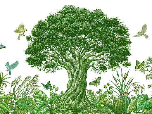 The Tree 品牌插画