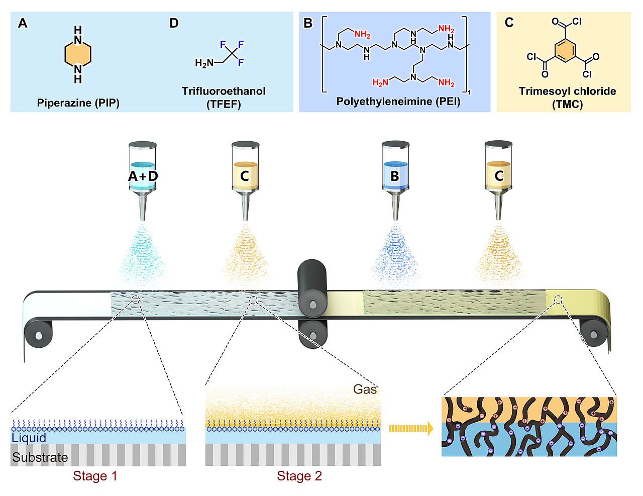 近期作品20241216（图ZMzgyNjA3NzAw） - 宣传物料 - 站酷设计师林间有灵原创素材 - 站酷ZCOOL