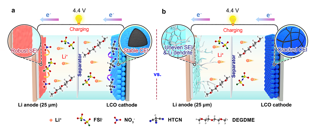 近期作品20241216（图ZMzgyNjA4MjM2） - 宣传物料 - 站酷设计师林间有灵原创素材 - 站酷ZCOOL