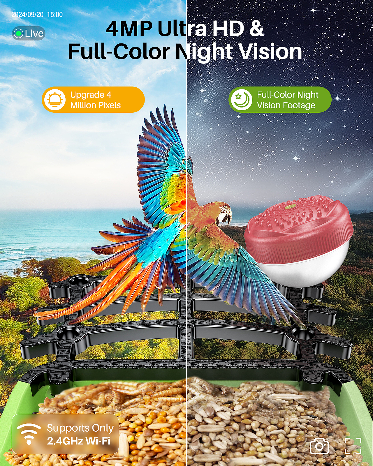 户外太阳能监控喂鸟器