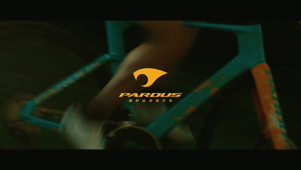 【行摄新疆】PARDUS瑞豹,驾驭速度之美