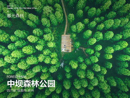 四川 | 中坝保护站：成都的暮光森林