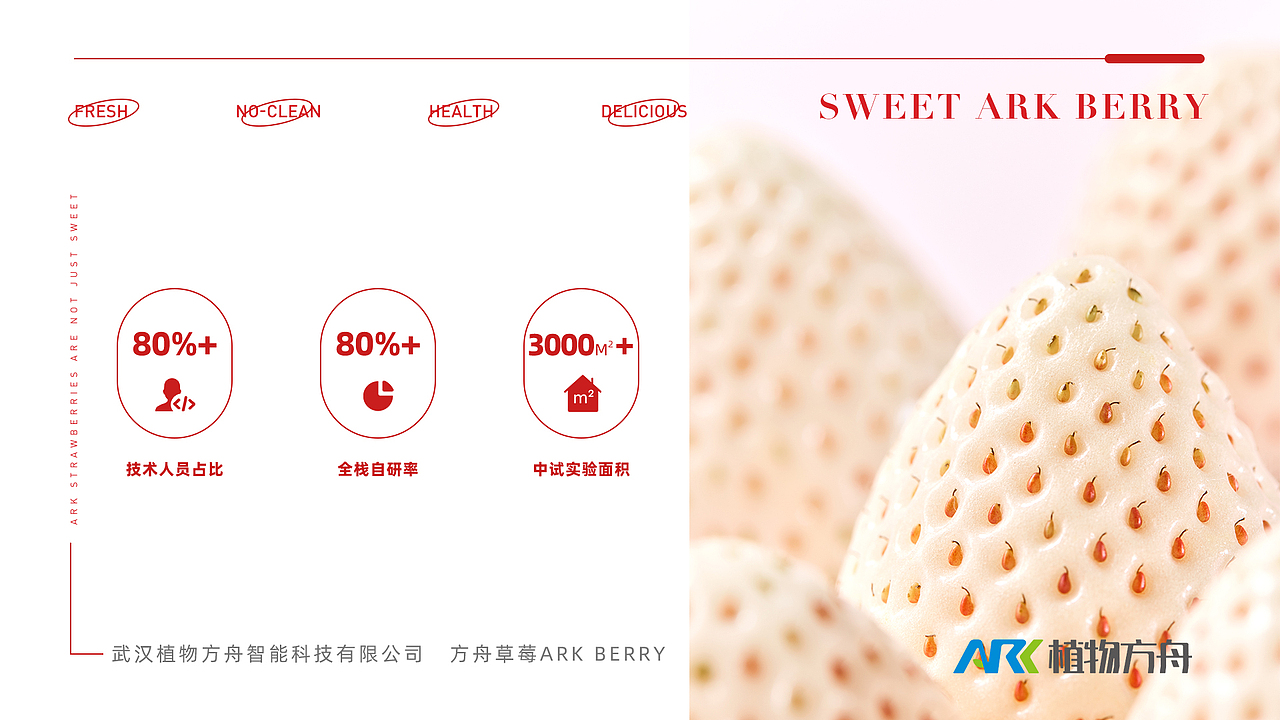 ark berry 草莓品牌VIS（图ZMzgyNjIwMTQ4） - 品牌 - 站酷设计师Antoniowoo原创素材 - 站酷ZCOOL