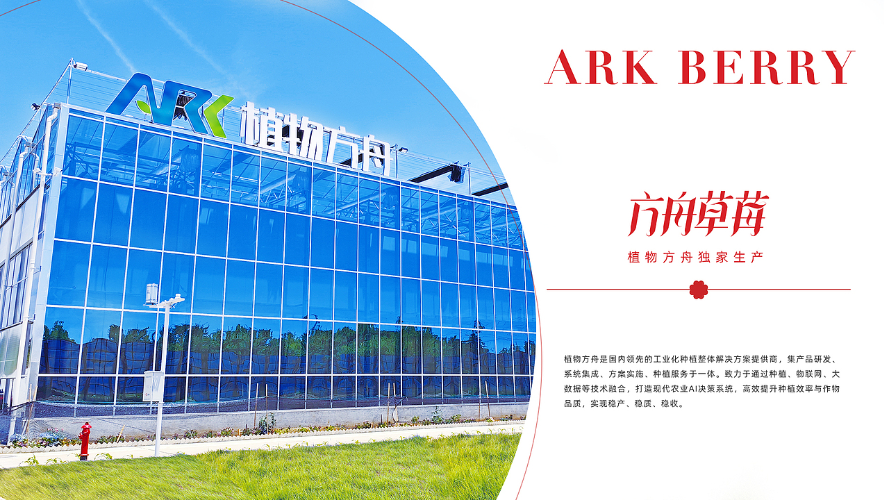 ark berry 草莓品牌VIS（图ZMzgyNjIwMTQ0） - 品牌 - 站酷设计师Antoniowoo原创素材 - 站酷ZCOOL