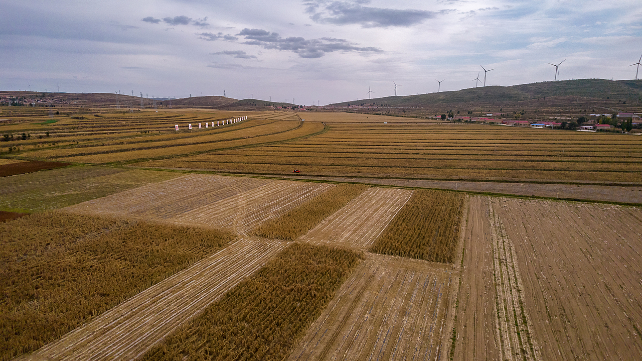 秋田豐收海原縣（圖ZMzgyNjI4MDcy） - 風(fēng)光攝影 - 站酷設(shè)計(jì)師蕭關(guān)麥客原創(chuàng)素材 - 站酷ZCOOL