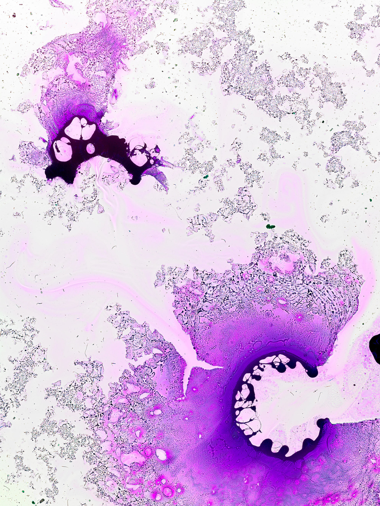 唯有光（拾叁）（图ZMzgyNjQ4MDky） - 实验艺术 - 站酷设计师禅宗喝水原创素材 - 站酷ZCOOL