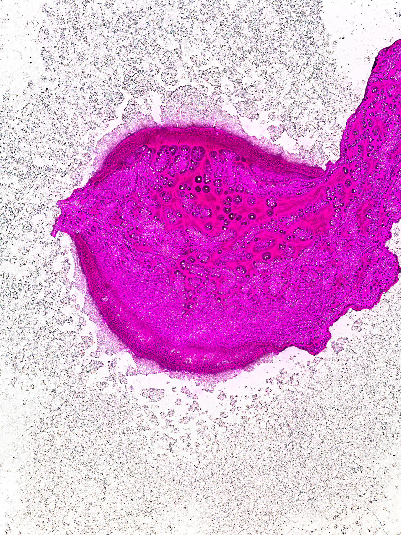 唯有光（拾叁）（图ZMzgyNjQ4MTA0） - 实验艺术 - 站酷设计师禅宗喝水原创素材 - 站酷ZCOOL