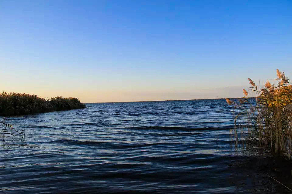 额济纳旗胡杨林(早期摄影作品)