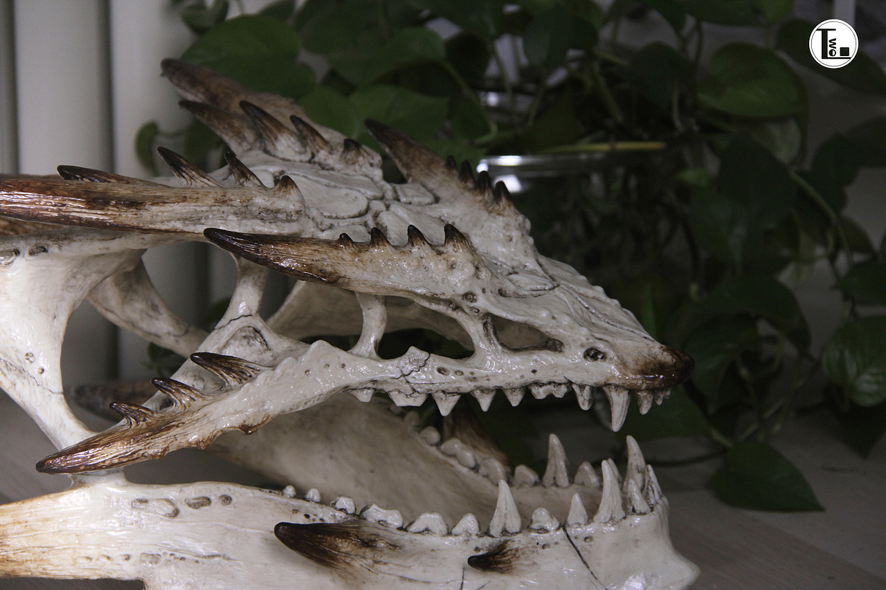 幻想大陆-昆德拉