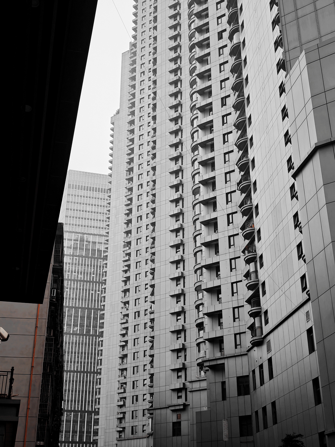 生活不止有黑与白