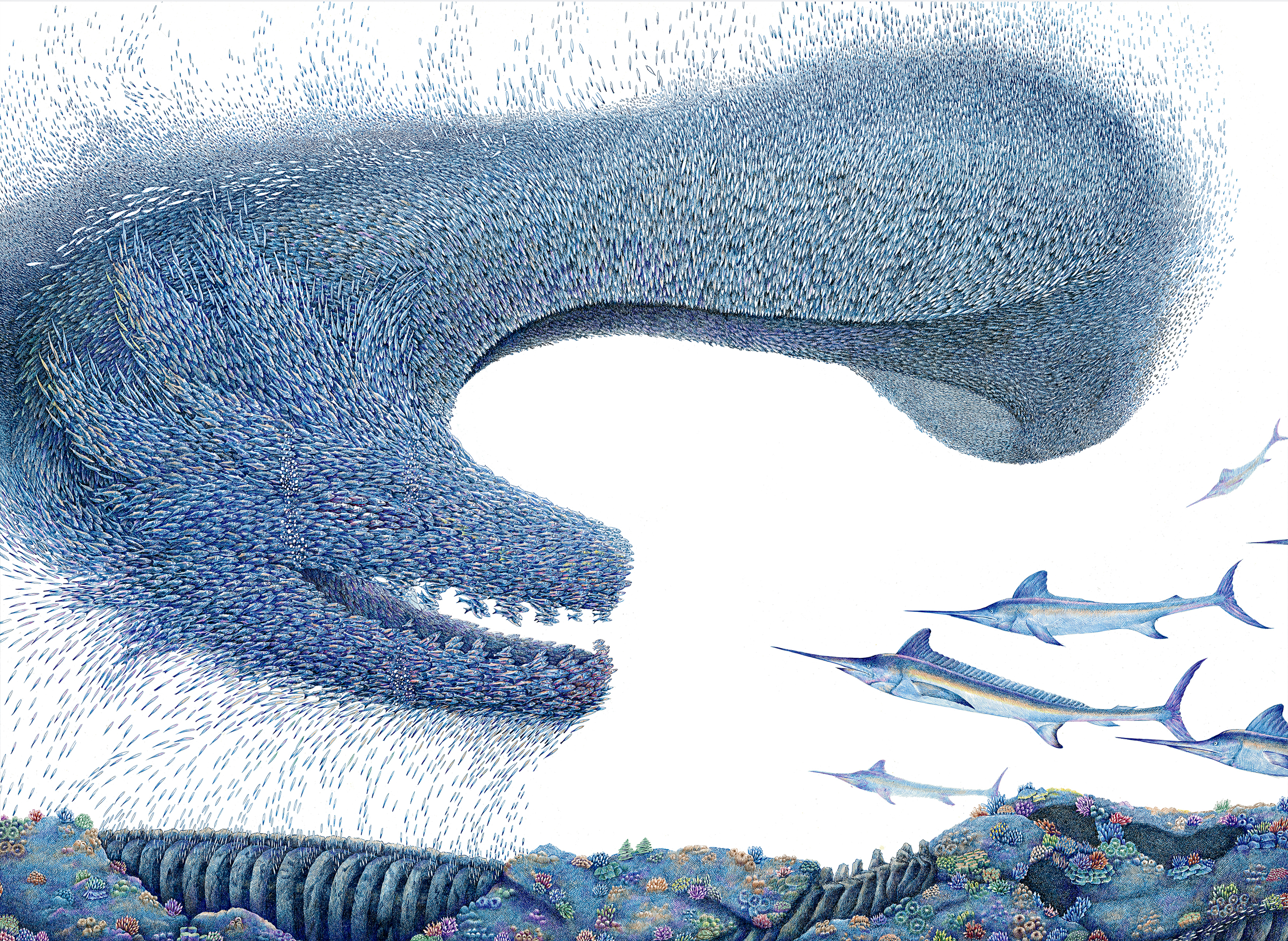 舒展：画画是一辈子的事