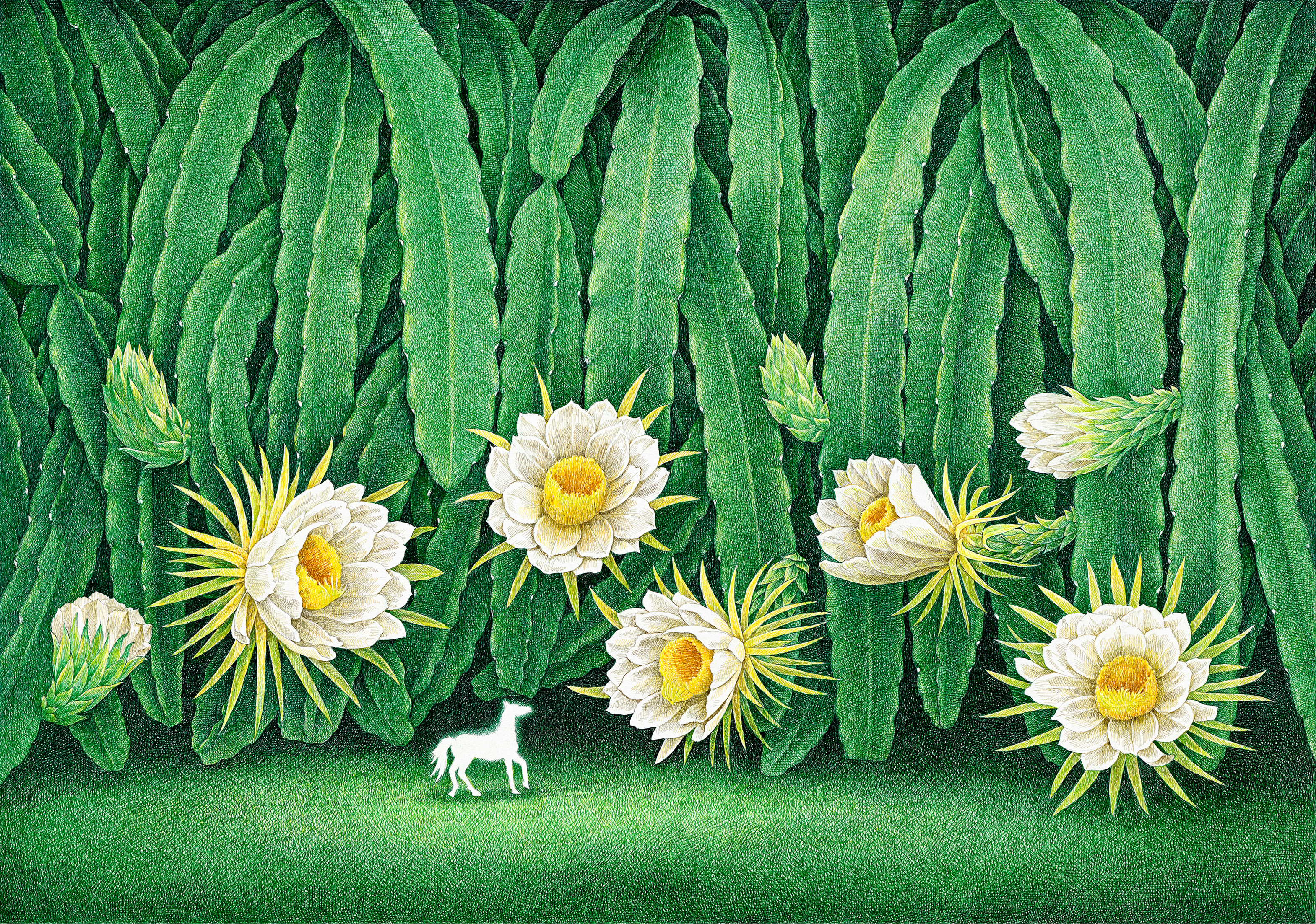 舒展：画画是一辈子的事（图ZMTQ5ODg4ODQ=） - 观点 - 站酷设计师站酷专访原创素材 - 站酷ZCOOL