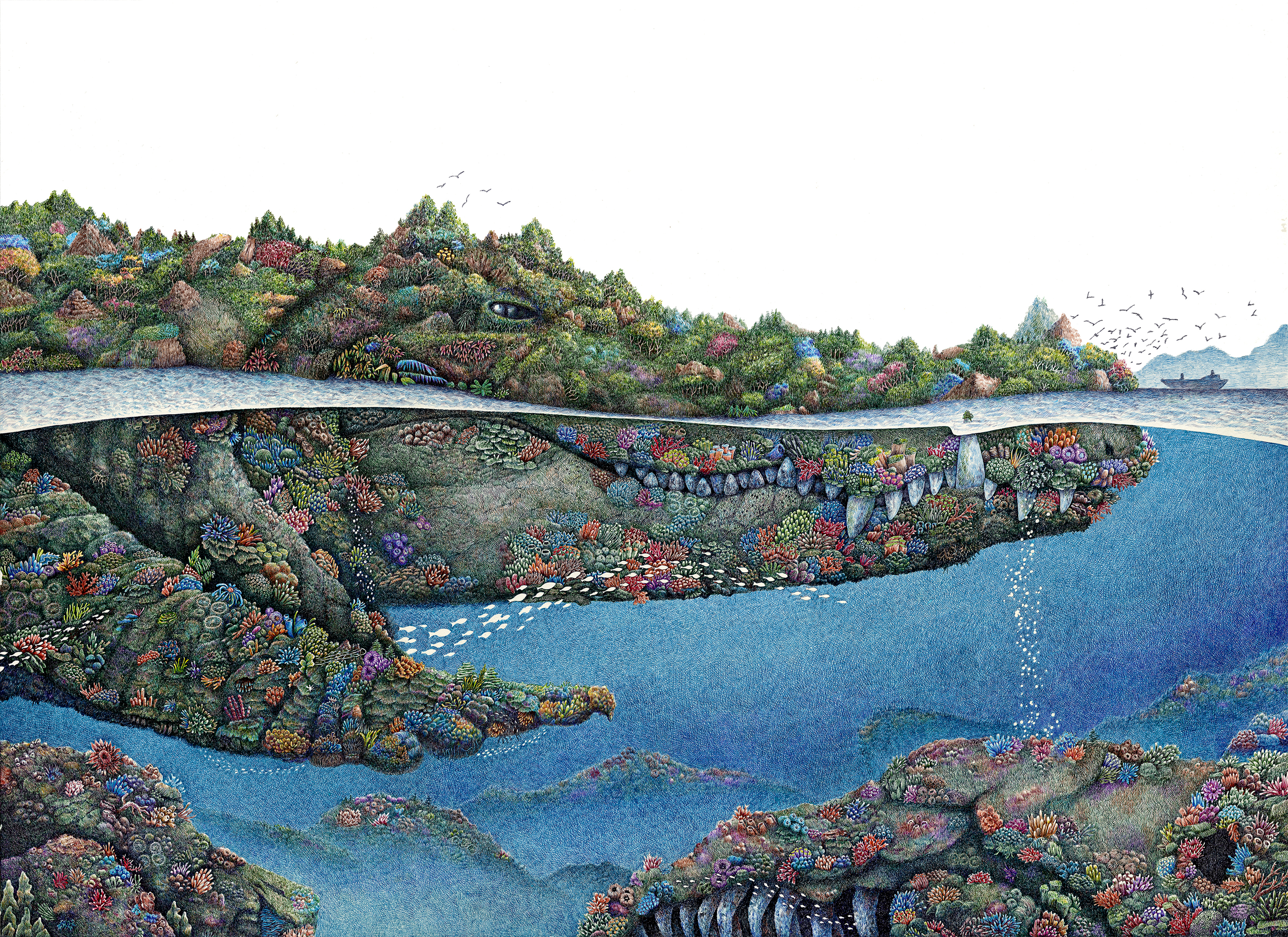 舒展：画画是一辈子的事（图ZMTQ5ODg4NzI=） - 观点 - 站酷设计师站酷专访原创素材 - 站酷ZCOOL
