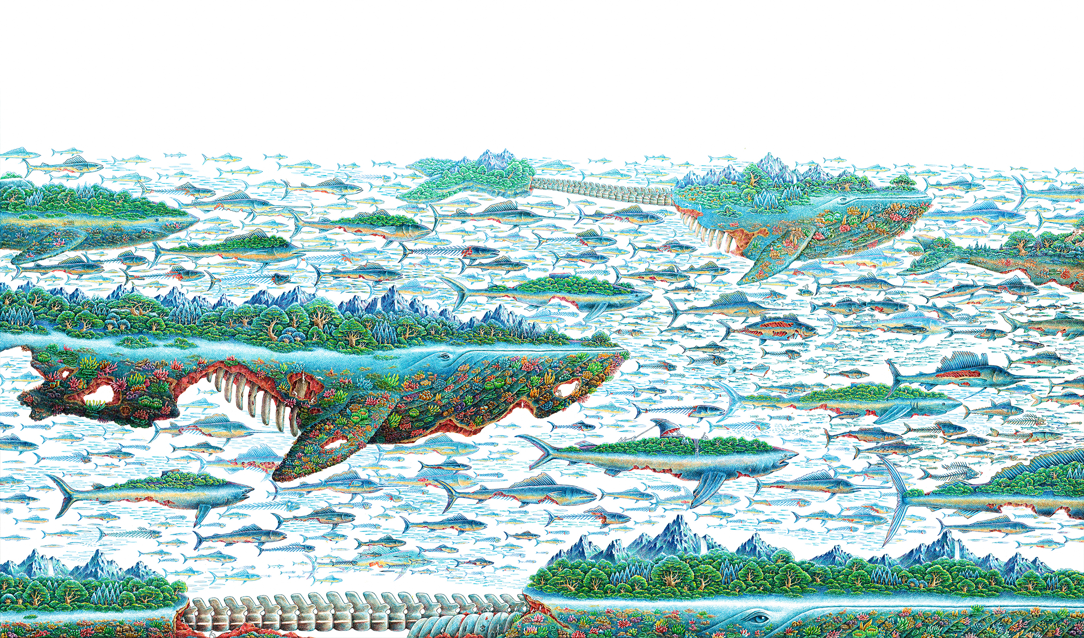 舒展：画画是一辈子的事