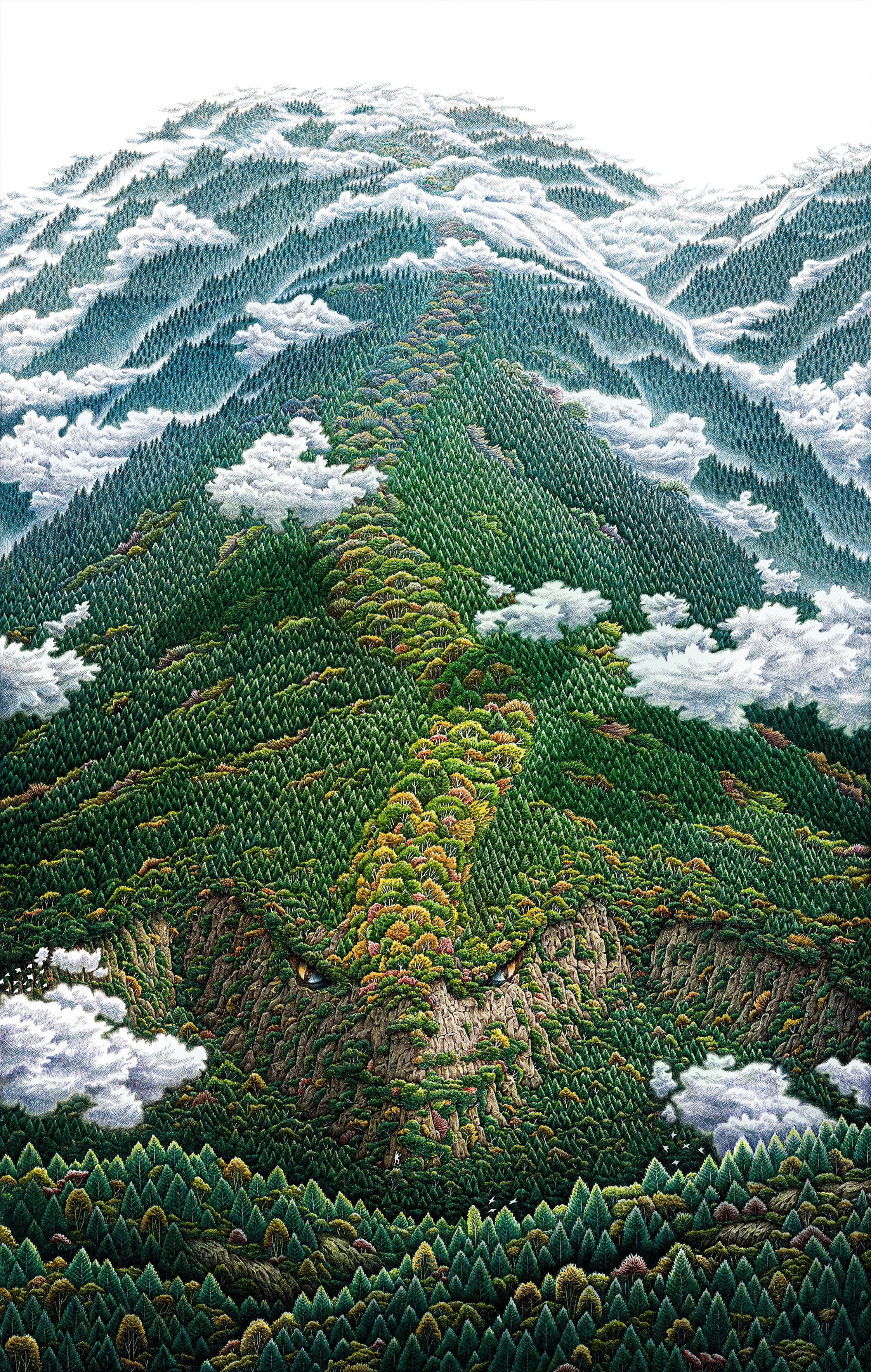 舒展：画画是一辈子的事