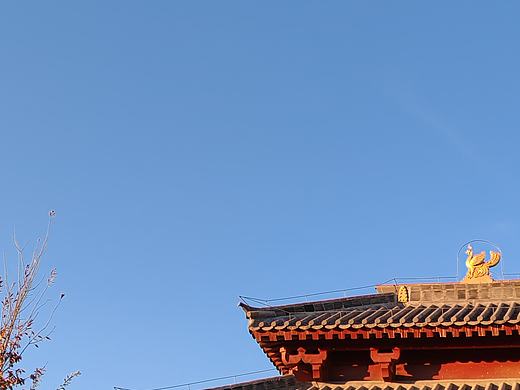 这里有点美