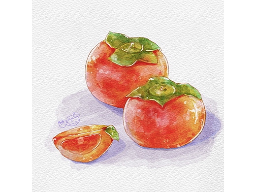 水彩柿子