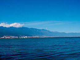  發(fā)著呆…風(fēng)吹著，蕩漾著，安靜著…海風(fēng)輕撫著冬天…