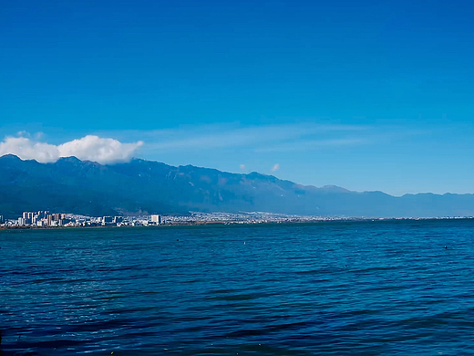发着呆…风吹着,荡漾着,安静着…海风轻抚着冬天…