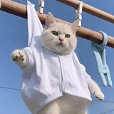 sean设计的头像