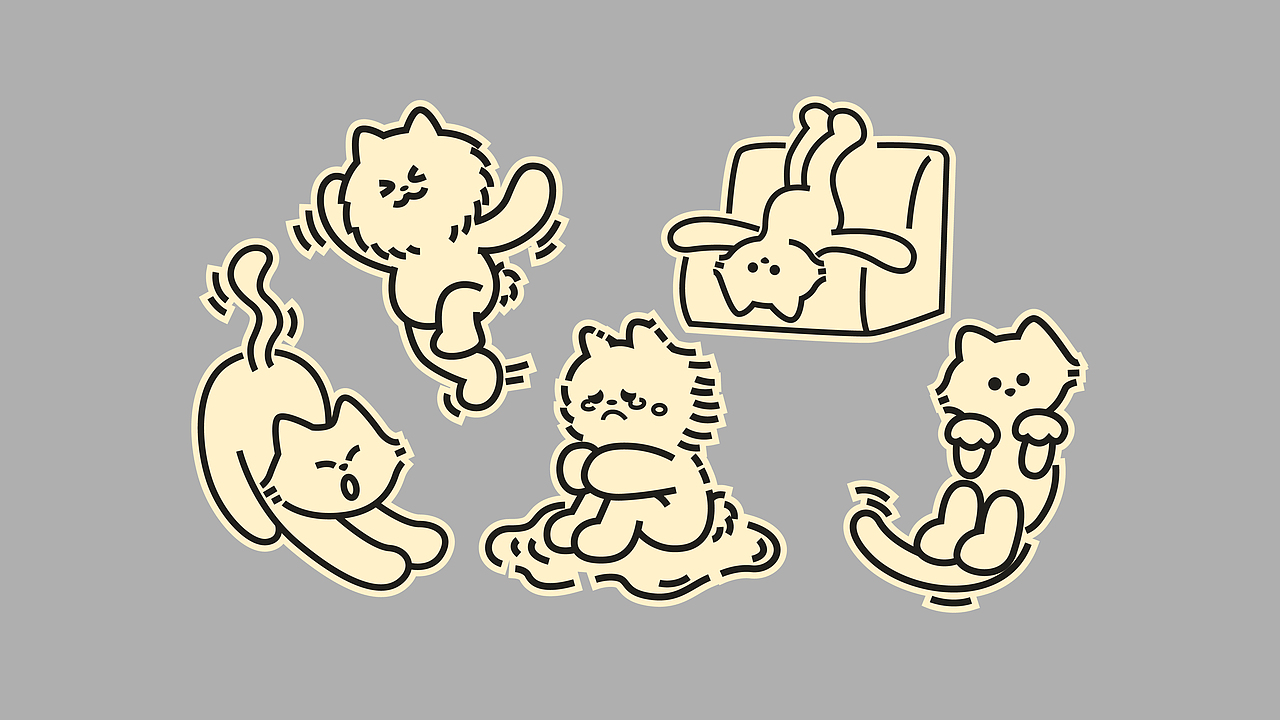 毛球便利|品牌全案设计