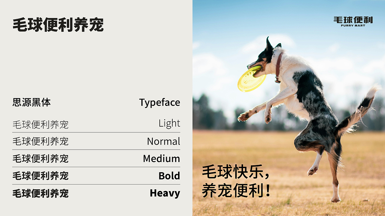 毛球便利|品牌全案设计