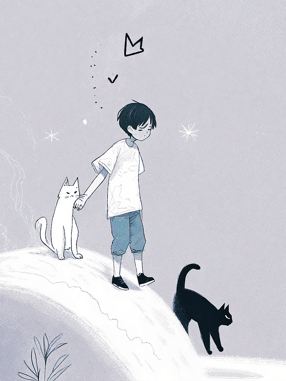 猫猫祟祟的日子