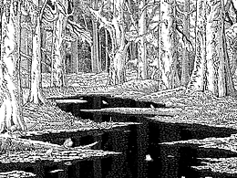 插画