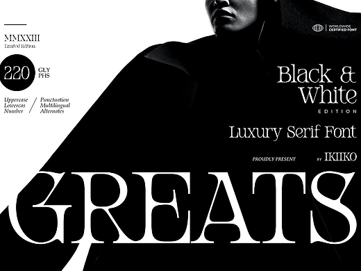 优雅经典时尚品牌画册请柬邀请函封面标题衬线英文字体