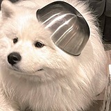AYA_1的头像