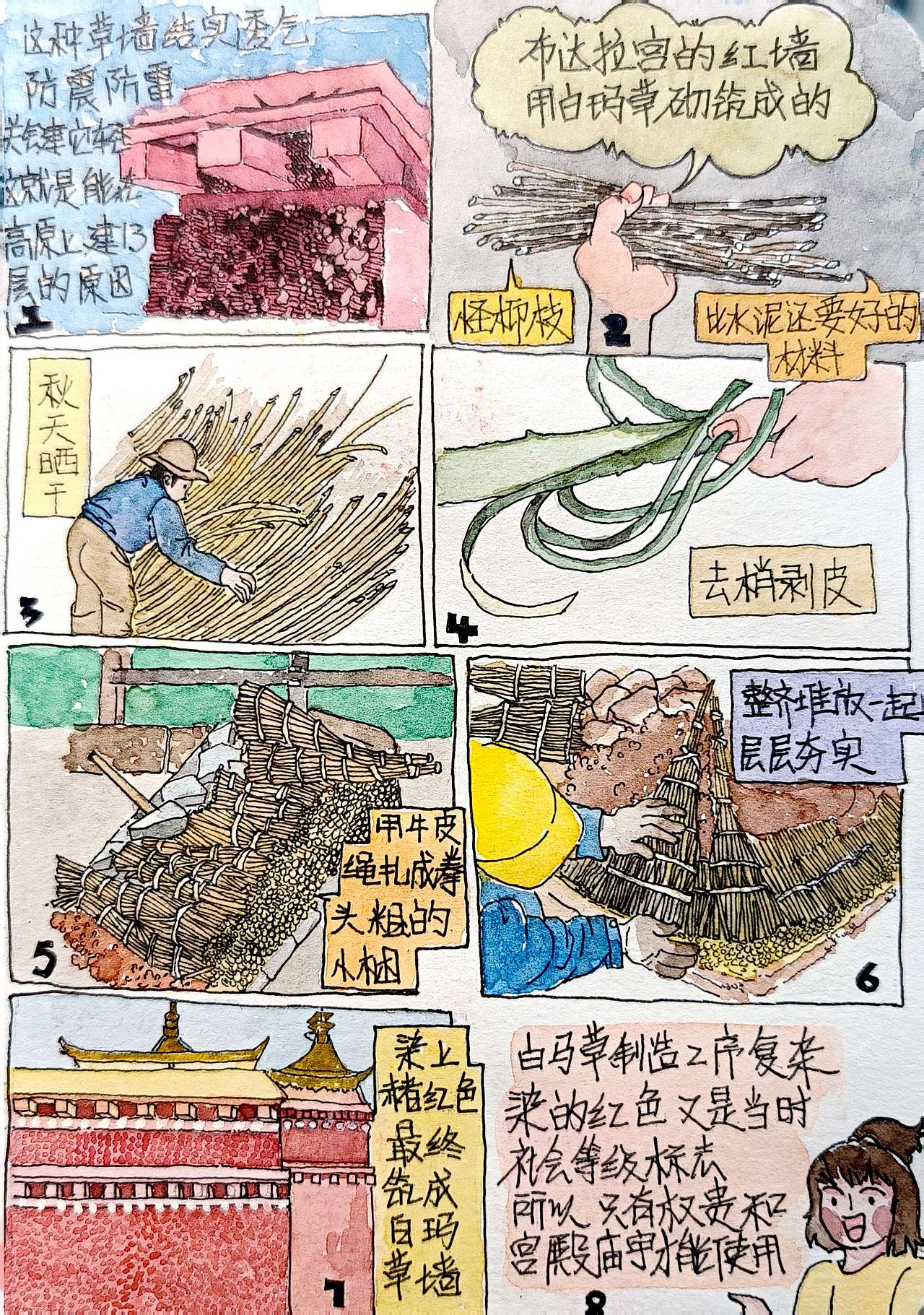 布达拉宫遗憾没进去!（图ZMzgyNzc5ODQ4） - 单幅漫画 - 站酷设计师画画的大牙ya原创素材 - 站酷ZCOOL