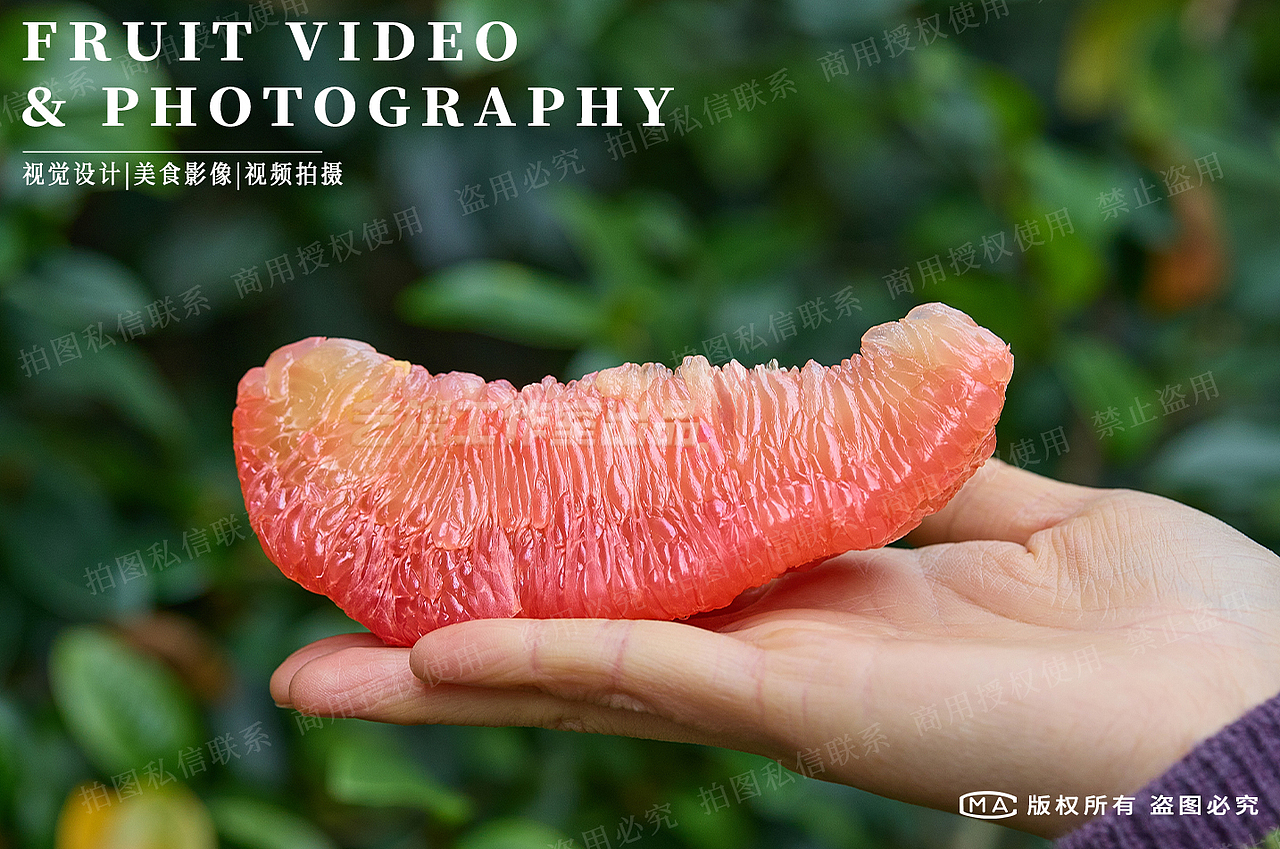 三红蜜柚拍摄|柚子图片拍摄|水果拍摄