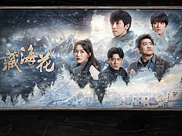 《藏海花》海报设计