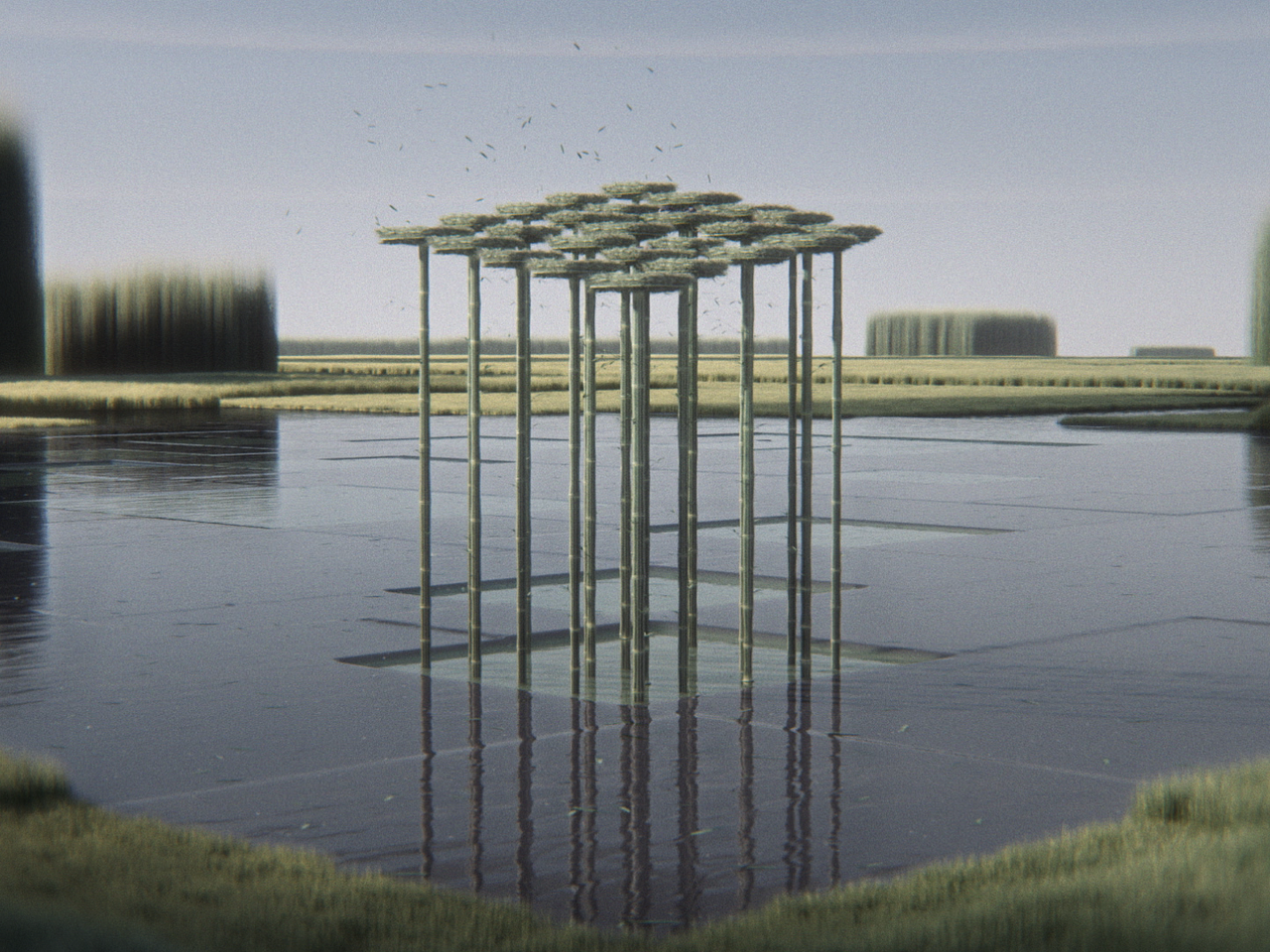 原创短片Regular Day · Pause Originals