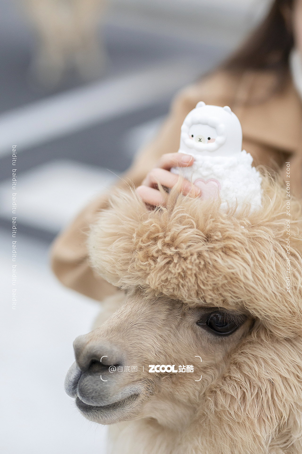 随手拍丨羊驼暖手宝（图ZMzgyODExMDky） - 产品摄影 - 站酷设计师白底图原创素材 - 站酷ZCOOL