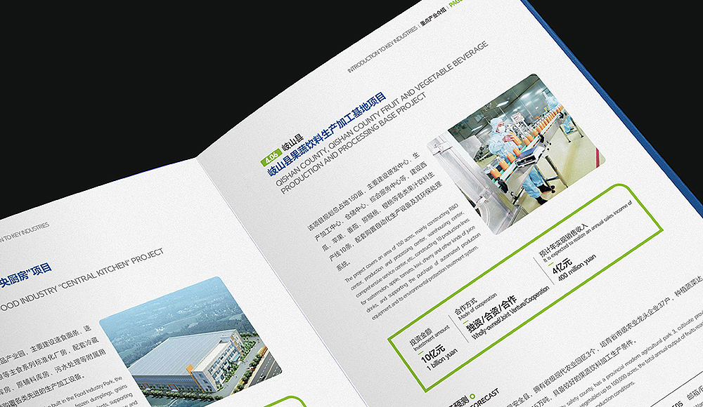 政府招商项目册 招商手册 招商宣传册 企业画册（图ZMzgyODI2OTE2） - 书籍/画册 - 站酷设计师品一视觉设计原创素材 - 站酷ZCOOL