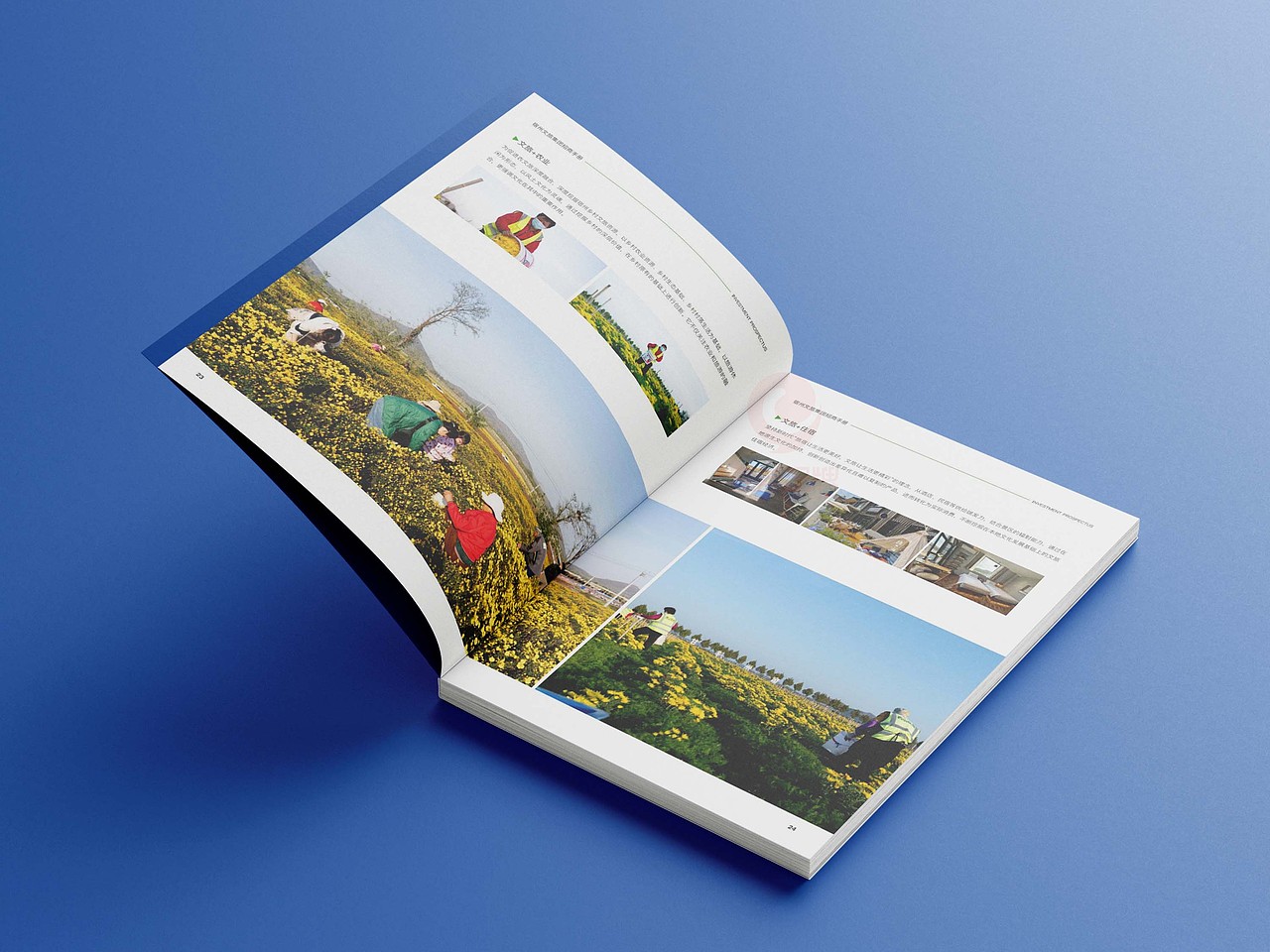 一希品牌设计---文旅招商画册宣传册设计（图ZMzgyODQxMDM2） - 书籍/画册 - 站酷设计师一希品牌设计原创素材 - 站酷ZCOOL